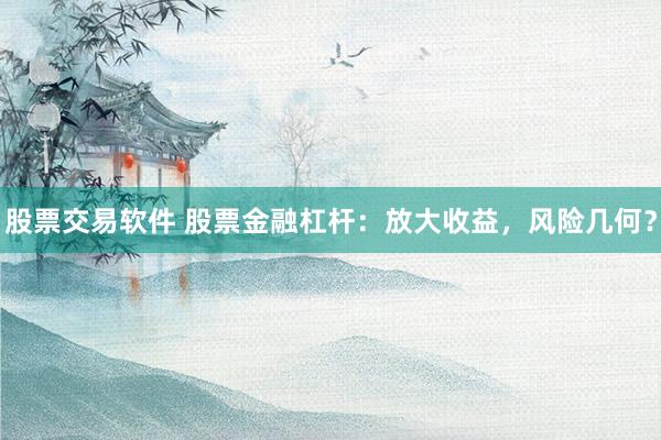 股票交易软件 股票金融杠杆：放大收益，风险几何？