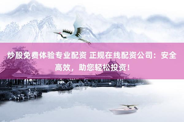 炒股免费体验专业配资 正规在线配资公司：安全高效，助您轻松投资！