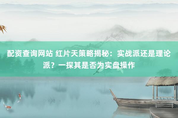 配资查询网站 红片天策略揭秘：实战派还是理论派？一探其是否为实盘操作