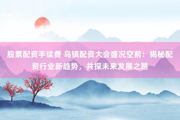 股票配资手续费 乌镇配资大会盛况空前：揭秘配资行业新趋势，共探未来发展之路