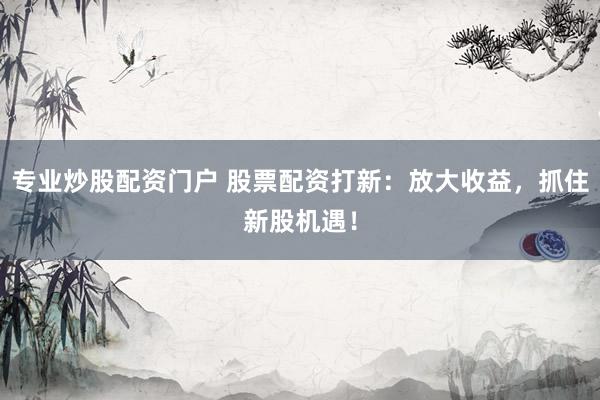 专业炒股配资门户 股票配资打新：放大收益，抓住新股机遇！