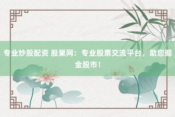 专业炒股配资 股巢网：专业股票交流平台，助您掘金股市！