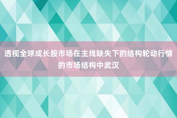 透视全球成长股市场在主线缺失下的结构轮动行情的市场结构中武汉