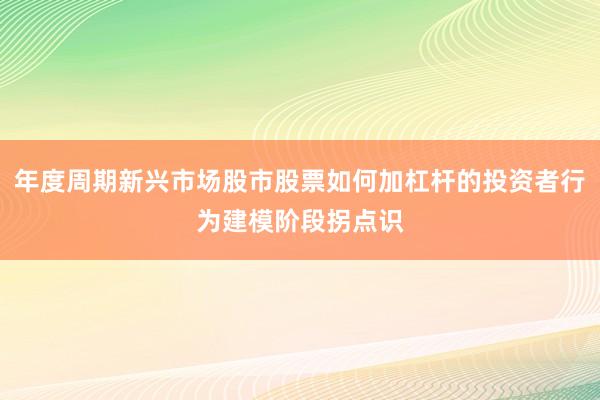 年度周期新兴市场股市股票如何加杠杆的投资者行为建模阶段拐点识