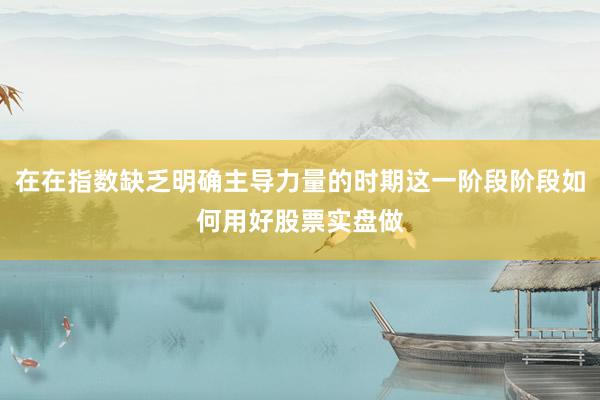 在在指数缺乏明确主导力量的时期这一阶段阶段如何用好股票实盘做
