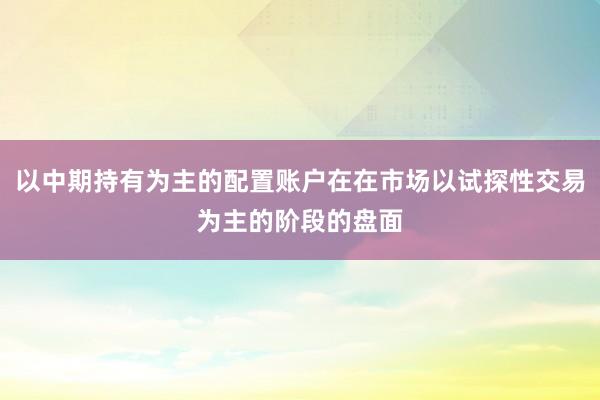 以中期持有为主的配置账户在在市场以试探性交易为主的阶段的盘面