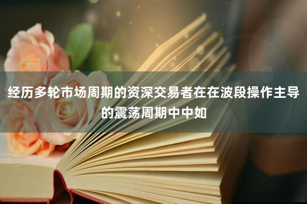 经历多轮市场周期的资深交易者在在波段操作主导的震荡周期中中如