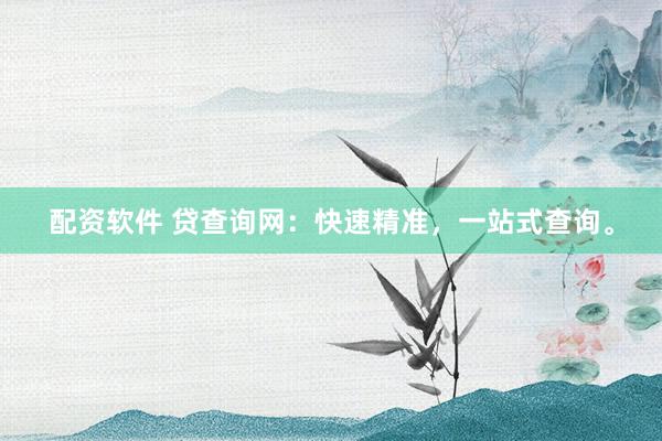 配资软件 贷查询网：快速精准，一站式查询。