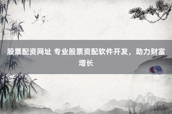 股票配资网址 专业股票资配软件开发，助力财富增长